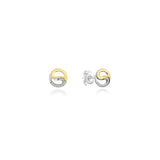 #color_Gold & Silver (Two-tone)