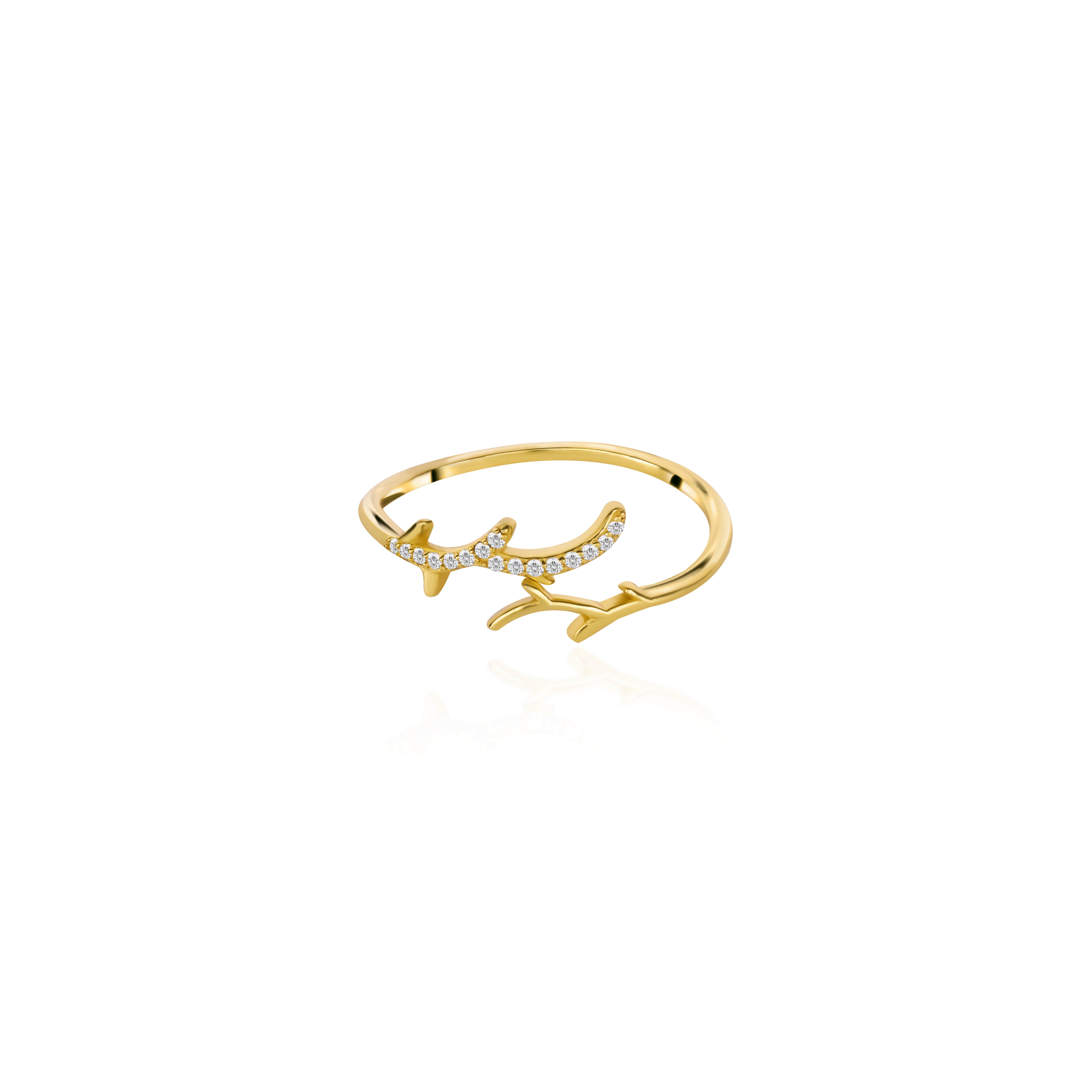 #color_Gold