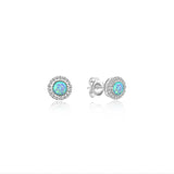 Starlight Brilliance Studs
