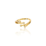#color_Gold