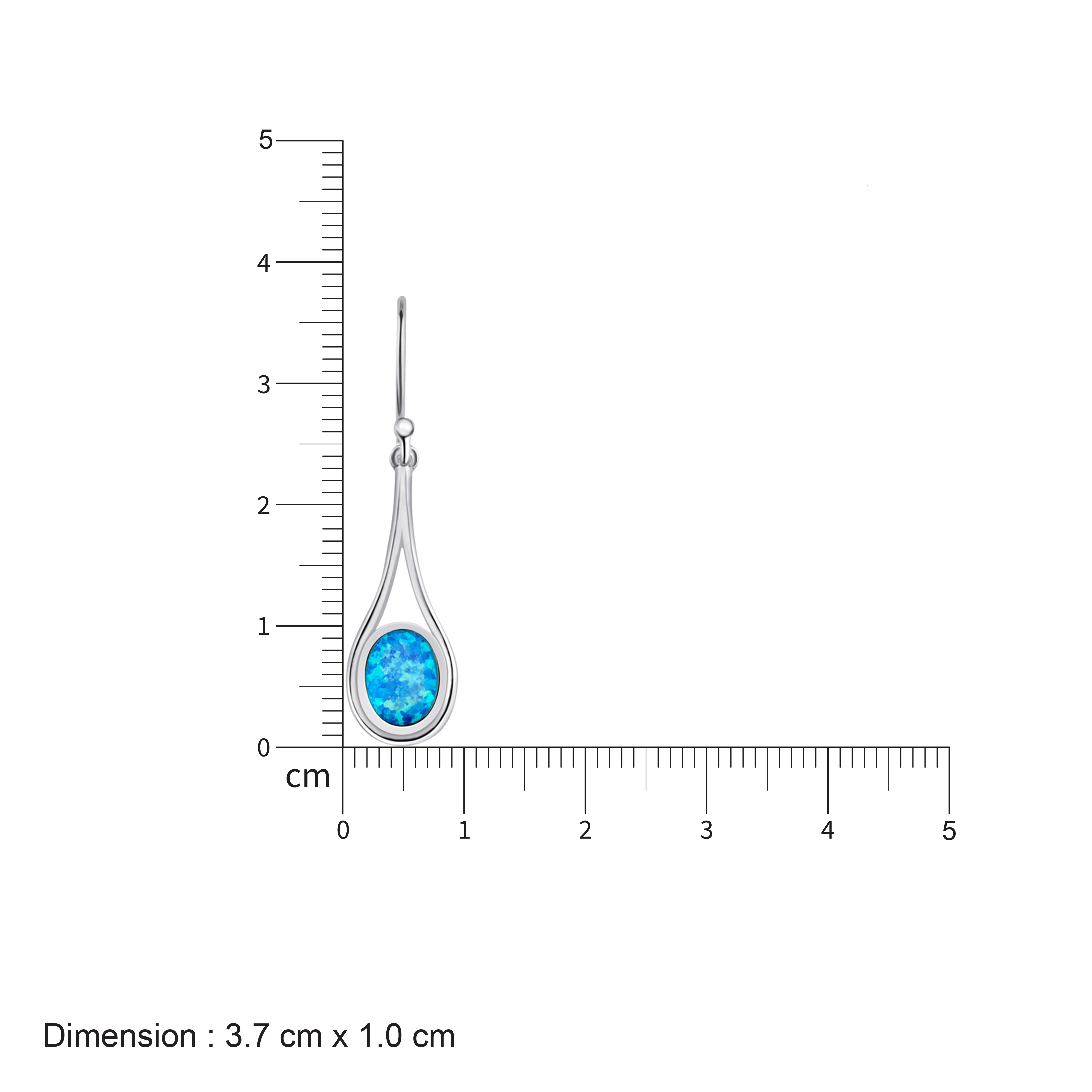 Raindrop Stunner Earrings