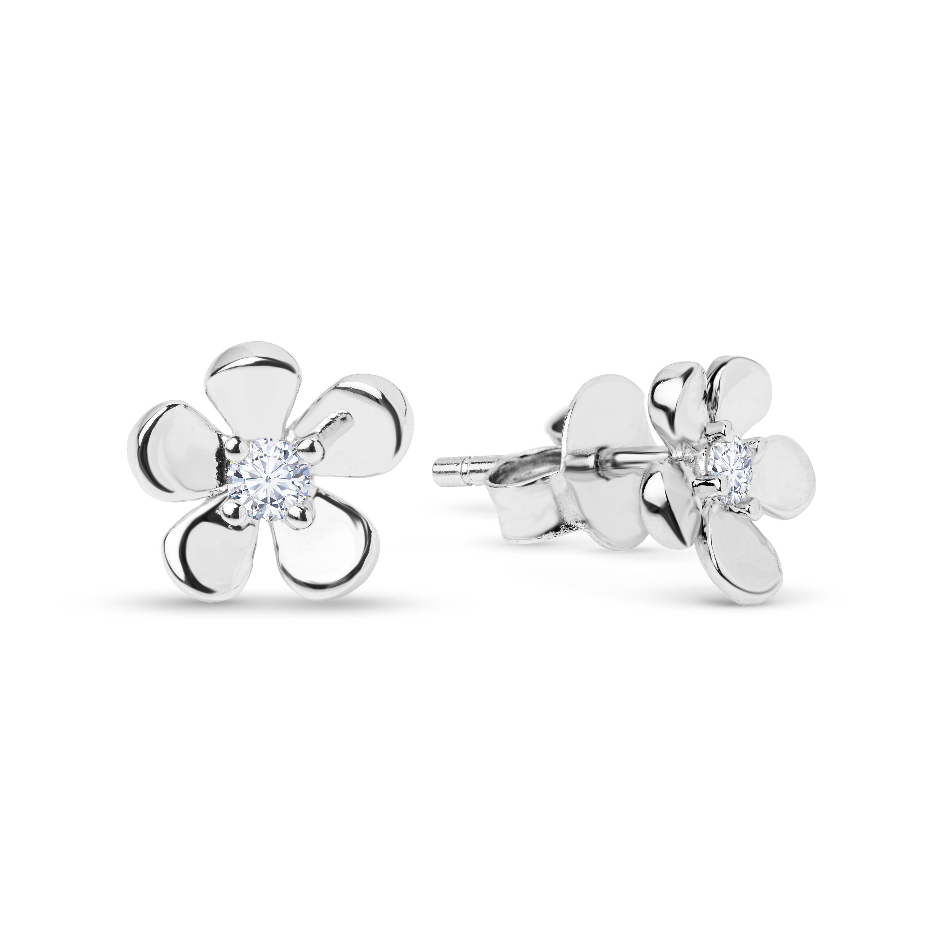 #color_Silver