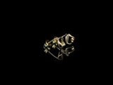 #color_Gold