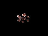 #color_Rose Gold
