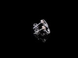 #color_Rose Gold & Silver (Two-tone)