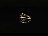#color_Gold