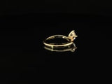 #color_Gold