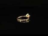 #color_Gold