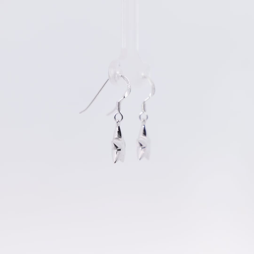 #color_Silver