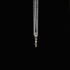 #color_Gold & Silver (Two-tone)