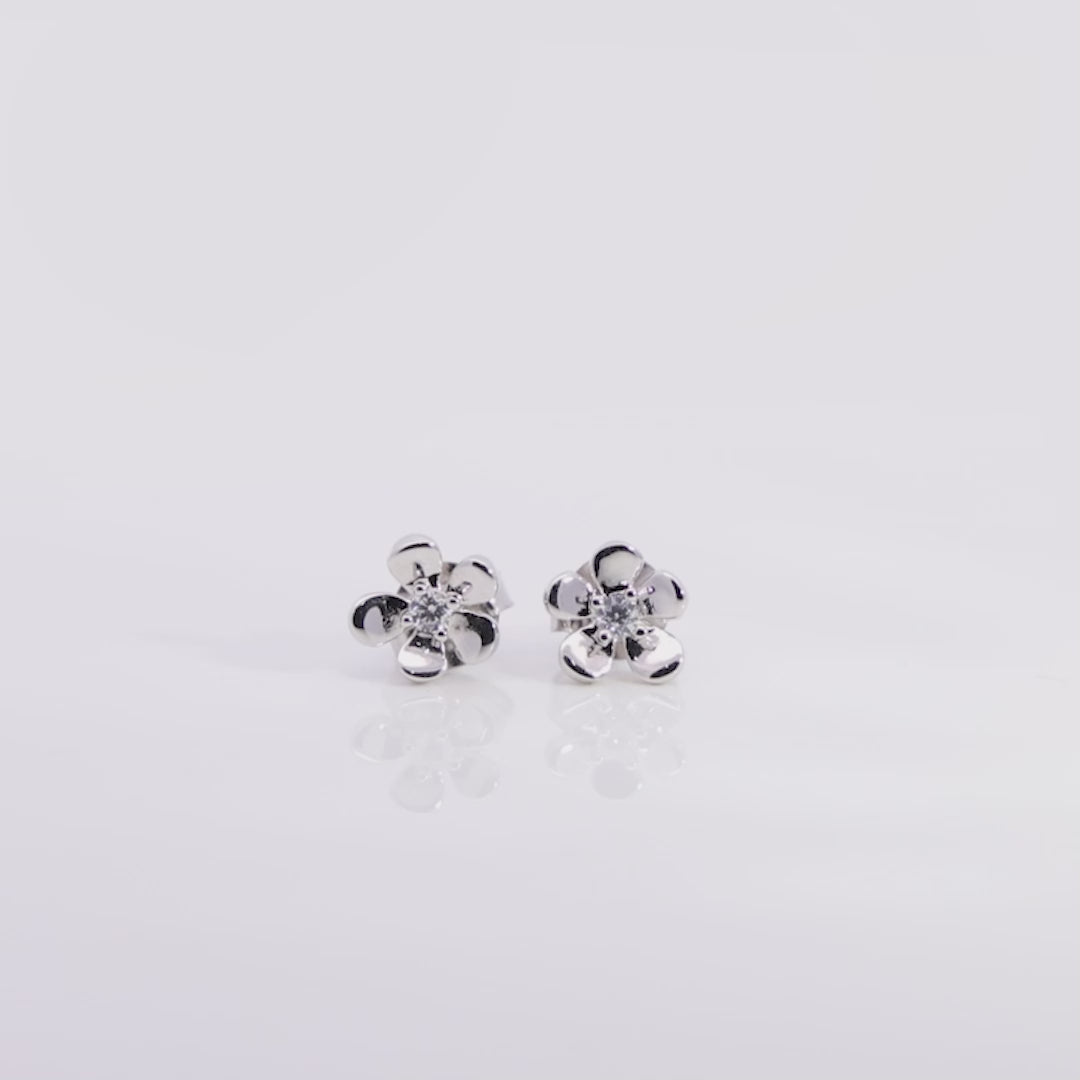 #color_Silver