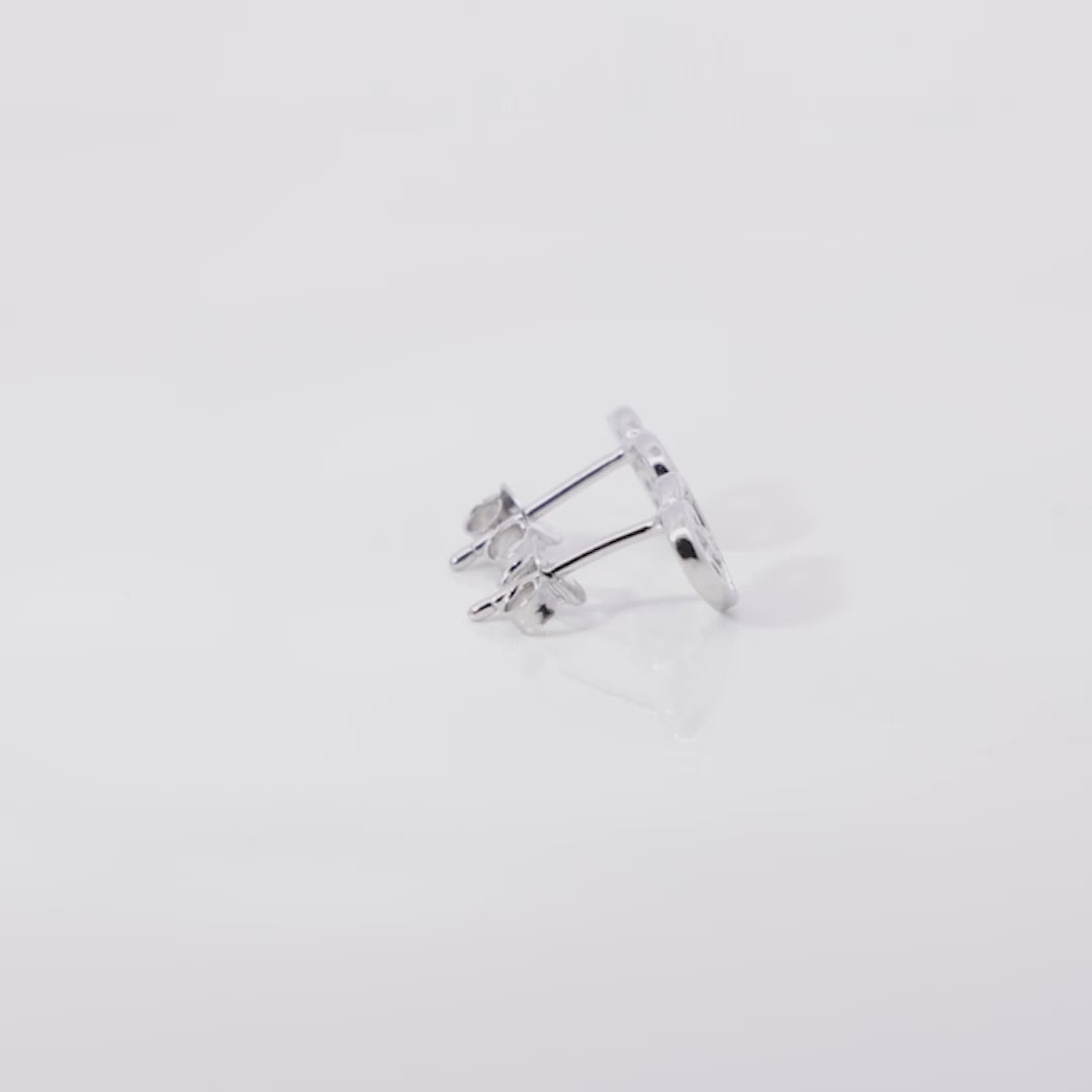 #color_Silver